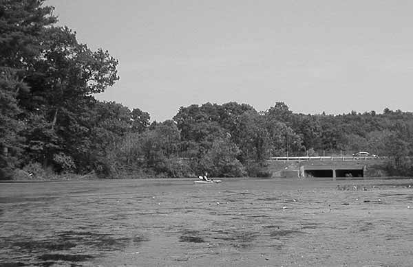 Site of the Old Mill on Mill Pond