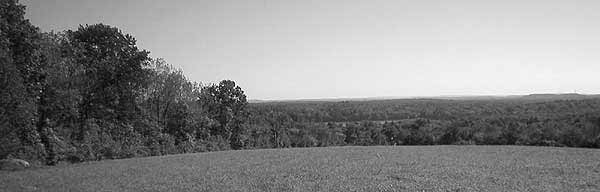 View towards Fort Pond