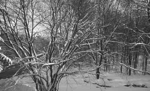 Looking towards Newtown