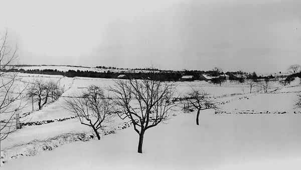 Looking towards Newtown