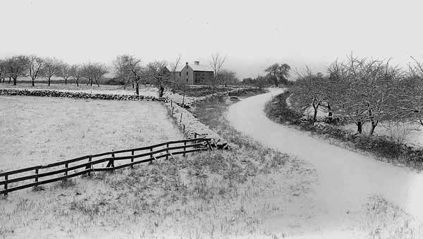 Looking away from Newtown