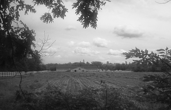 Dell Dale Farm