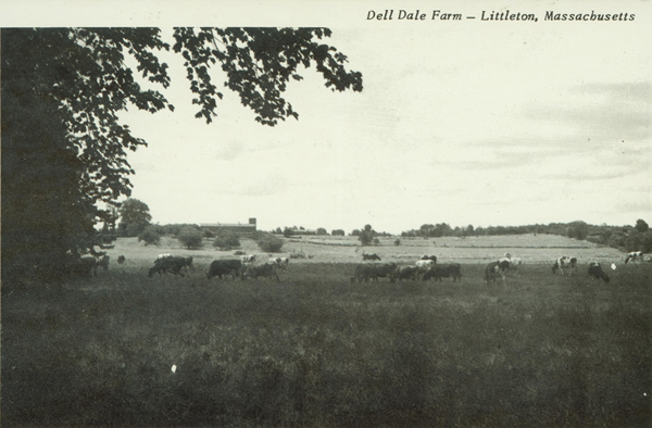 Dell Dale Farm Postcard