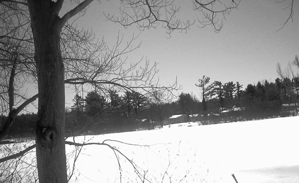 Mill Pond