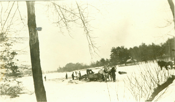 Mill Pond Postcard