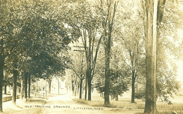 Old Training Ground Postcard