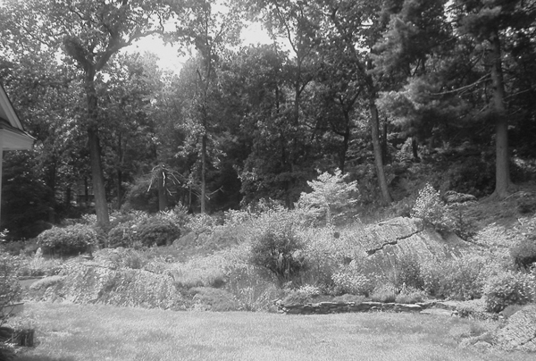 The Ledges